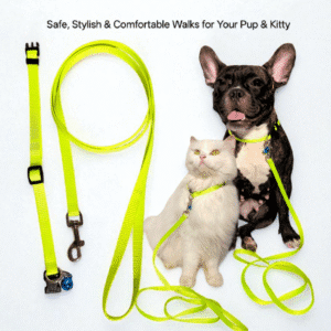 Paw Crush Collar Set - Solid (001)