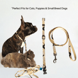 Paw Crush Designer Collar & Leash Set – Elegant Beige (002)